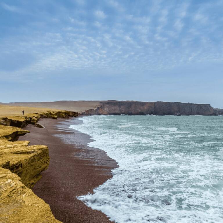Full Day Ballestas Islands & Paracas National Reserve