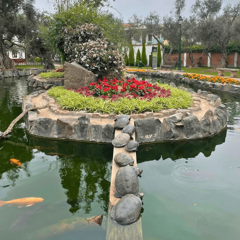 Discover Lima: 2D / 1N