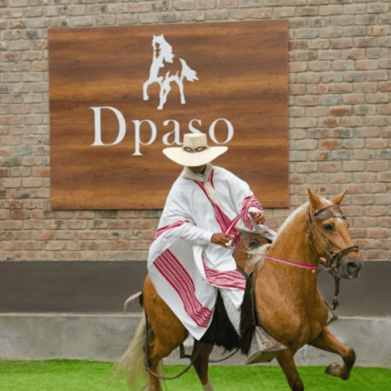 Private Pachacamac Tour, Paso Horse Show & Buffet Lunch